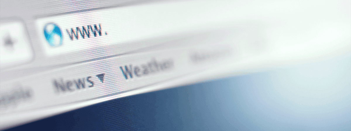 browser window search bar